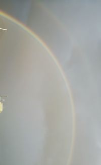 Low angle view of rainbow over trees