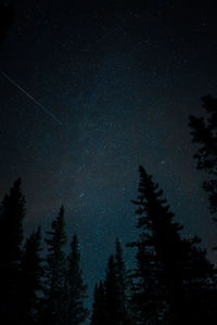 Low angle view of silhouette trees against sky at night