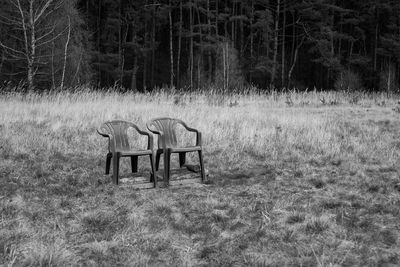 Empty bench on field against trees in forest