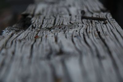 Close-up of damaged wood