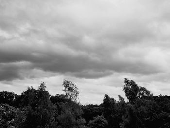Low angle view of trees against cloudy sky