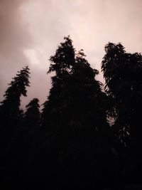 Low angle view of silhouette trees against sky at sunset