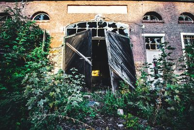 Closed door of building