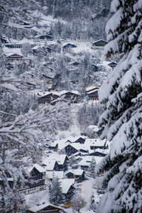 High angle view of snow covered trees