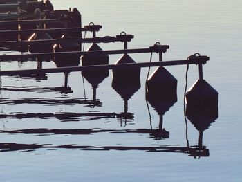 View of birds in sea