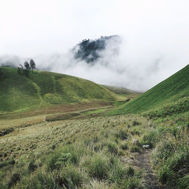 landscape, grass, tranquil scene, tranquility, sky, scenics, beauty in nature, field, mountain, nature, green color, grassy, cloud - sky, non-urban scene, weather, cloudy, fog, growth, overcast, hill