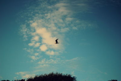 Low angle view of silhouette bird flying against sky
