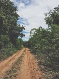 Dirt road amidst trees against sky