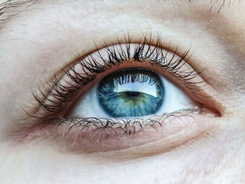 Close-up of human eye