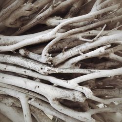 Full frame shot of wood