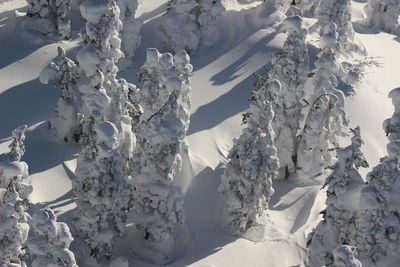 Snow covered landscape against mountain