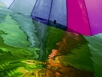 Close-up of leaf floating on water