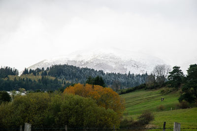 Scenic view of trees and mountains against sky