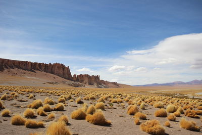 Scenic view of desert against sky