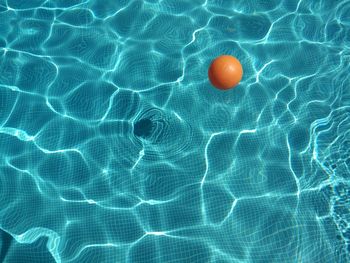 Close-up of ball swimming in pool