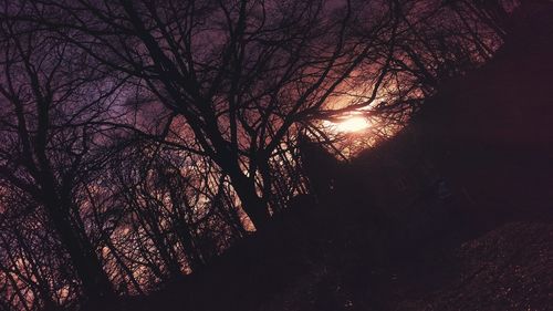 Low angle view of silhouette trees against sky at sunset