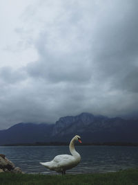 Scenic view of lake against cloudy sky
