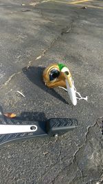 High angle view of sunlight