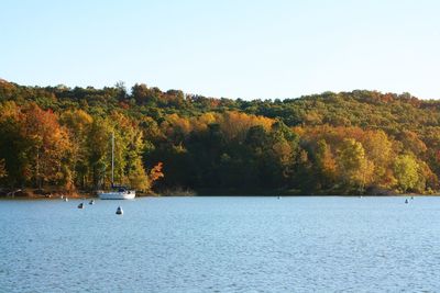 Scenic view of lake surrounded by trees against clear sky