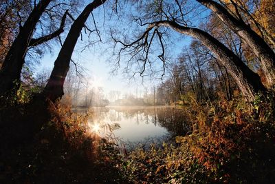 Reflection of trees in lake against sky during autumn