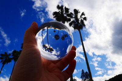 Low angle view of hand holding plant against sky