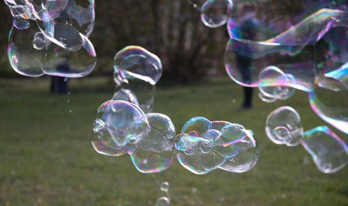 Close-up of bubbles