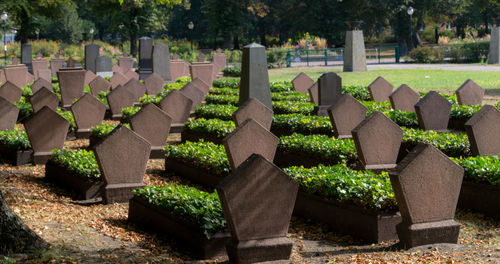 Row of cemetery against trees