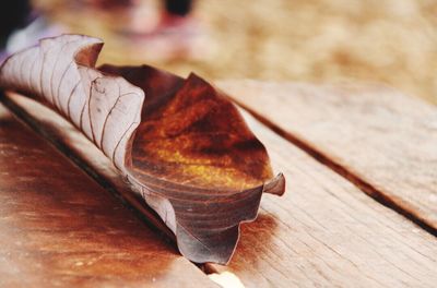 Close-up of food on wooden table