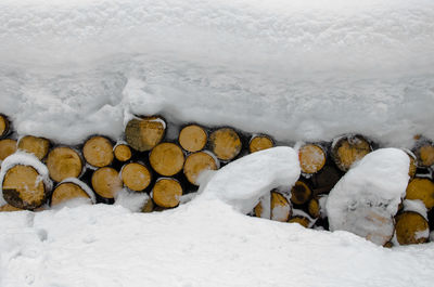 Stack of logs in snow