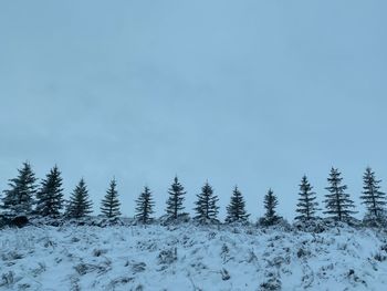 Snow covered field against sky