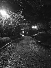 Illuminated street lights at night