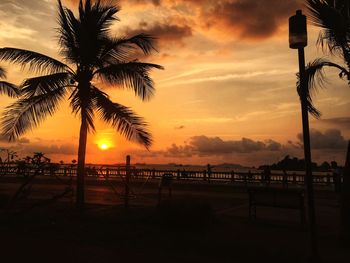 Silhouette palm trees on beach against sky at sunset