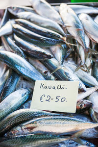 Box full of freshly caught mackerel fish. early winter morning on marsaxlokk market, malta.