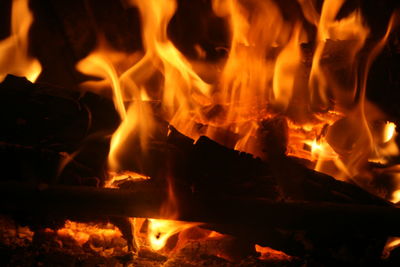 Close-up of fire at night