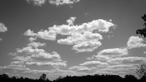 Low angle view of trees against cloudy sky