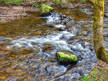 High angle view of river flowing amidst rocks in forest