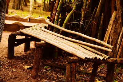 Wooden bench on field in forest