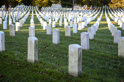 View of cross in cemetery