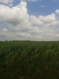 Scenic view of grassy field against cloudy sky