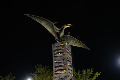 Low angle view of bird flying against sky at night