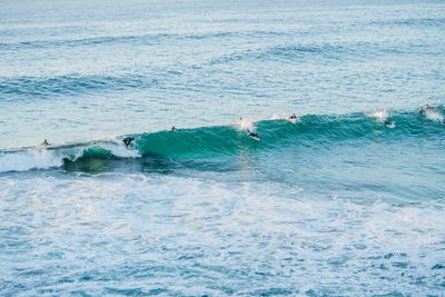 Surfers in the water riding waves at sydney beach