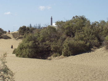 Scenic view of beach against clear sky