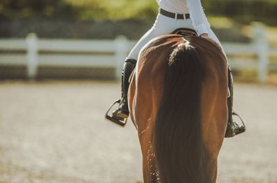 Rear view of horse riding