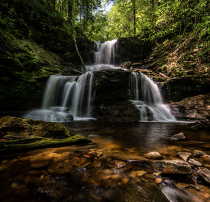 Scenic view of waterfall in forest