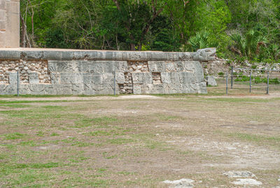 Stone wall by trees on field