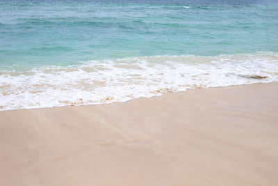 Scenic view of beach