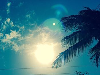 Low angle view of palm trees against blue sky