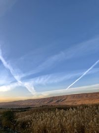 Scenic view of agricultural field against blue sky