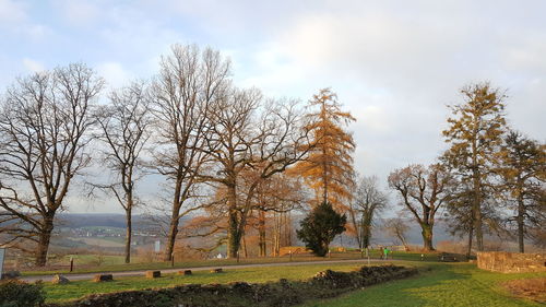 Trees on field against sky during autumn