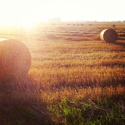 Scenic view of field against sky during sunset